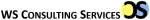 WS Consultant company logo