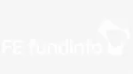 FE fundinfo company logo
