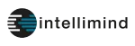 Intellimind Services India Pvt. Ltd. company logo