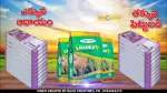 Kurnool Seeds Private Limited company logo
