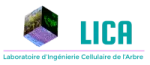 LICA LAB company logo