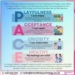 Pace School company logo