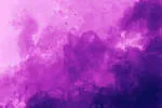 Purple Tuche Brand Solutions Pvt Ltd company logo