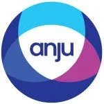 Sanjiv Anju & Associates company logo