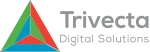 Trivecta digital Solution Pvt Ltd company logo