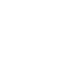 Vega IntelliSoft Private Limited company logo