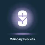 Visionary services company logo