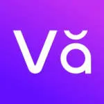 Voix & Vision Worx company logo