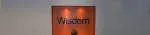Wisdom InfoTech company logo