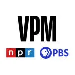 vpm info tech company logo