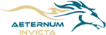 Aeternum Invicta Services FZCO , company logo