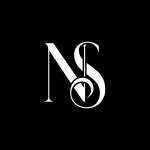 NS kumbar Art Academy company logo