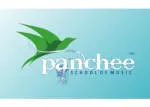 Panchee School of Music,Kothrud company logo