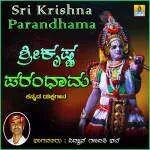 Sri parandhama Technologies company logo