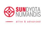 Sundyota Numandis company logo