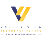 VVSS company logo
