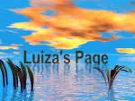 illuzia designs company logo