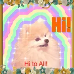 Hi-Q Photographers Private Limited company logo