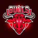 HireBulls company logo