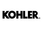 Kohler India Corporation company logo