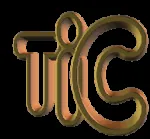 TIC Visas company logo