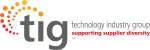 TIG company logo