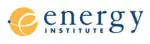 The Energy and Resources Institute company logo