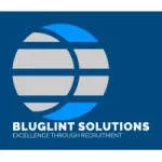 Bluglint solutions company logo