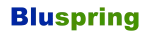 Bluspring pvt ltd company logo