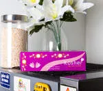 Kosher Tissue Products Pvt Ltd company logo