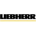 Liebherr CMCtec India Private Limited company logo