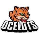 Ocelots company logo