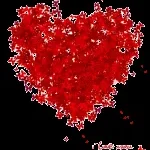 S M KANADE AND COMPANY company logo