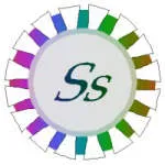 Sanskruti Solutions company logo