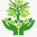 Shree Shalya Chit Funds Pvt Ltd company logo