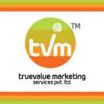 truevalue marketing services company logo