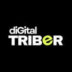 Digital Triber company logo