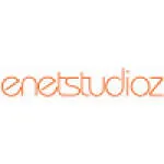 ENETSTUDIOZ INC company logo