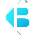 Bringle Excellence company logo